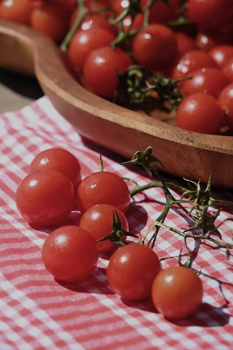 Foodie Adventure